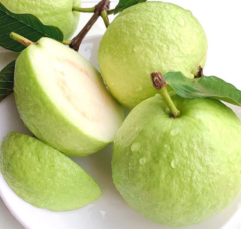 Fresh white guava (organic fruit)-US - Image 3