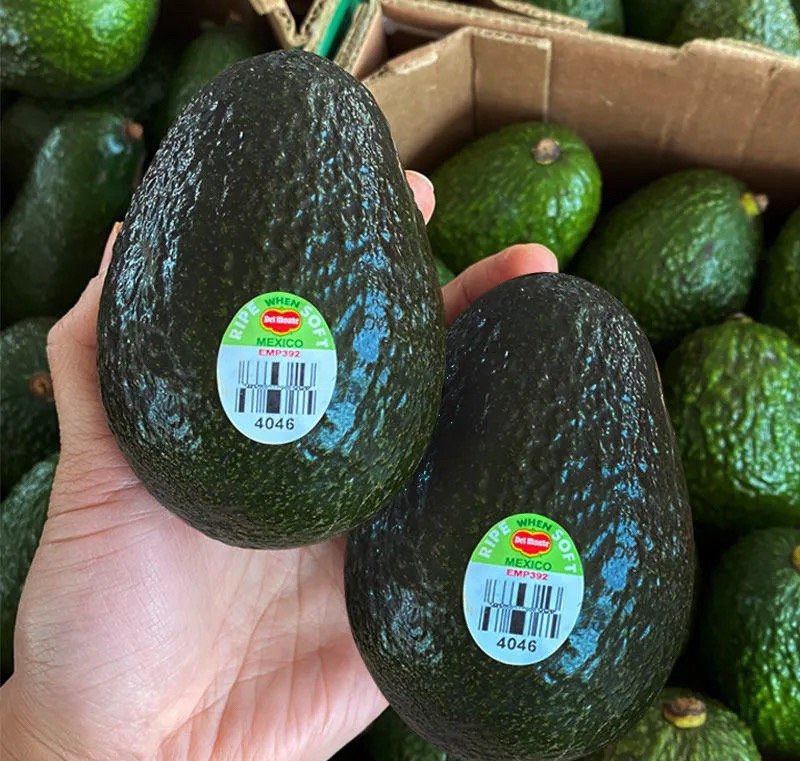 Fresh avocado (organic fruit)-US - Image 2