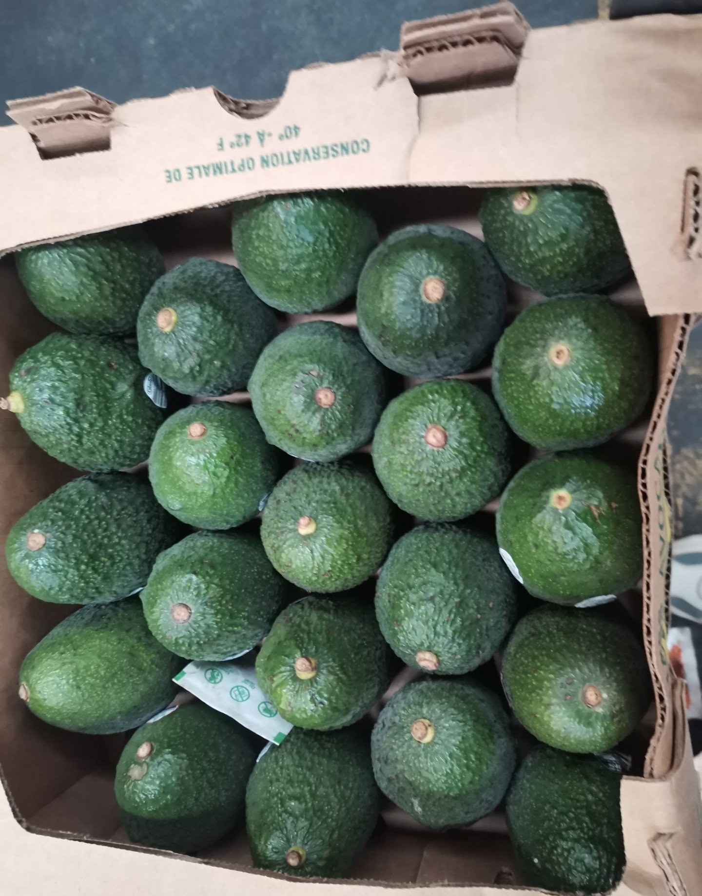 Fresh avocado (organic fruit)-US - Image 5