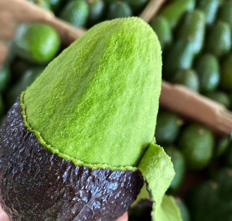 Fresh avocado (organic fruit)-US