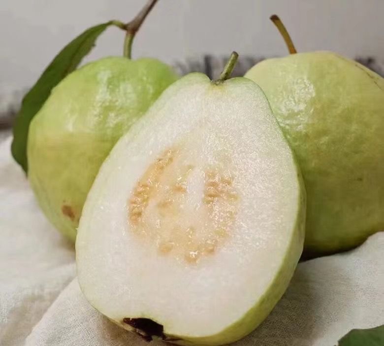 Fresh white guava (organic fruit)-US - Image 5