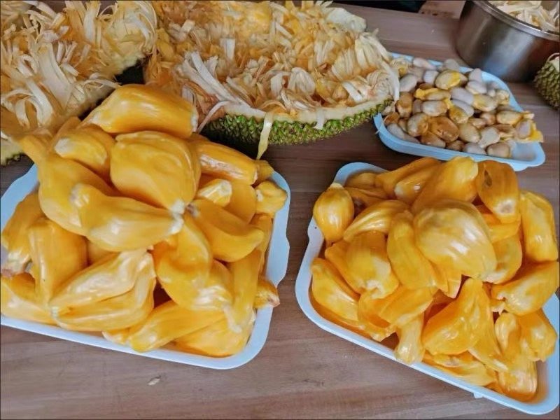 Fresh jackfruit (organic fruit)-US - Image 5