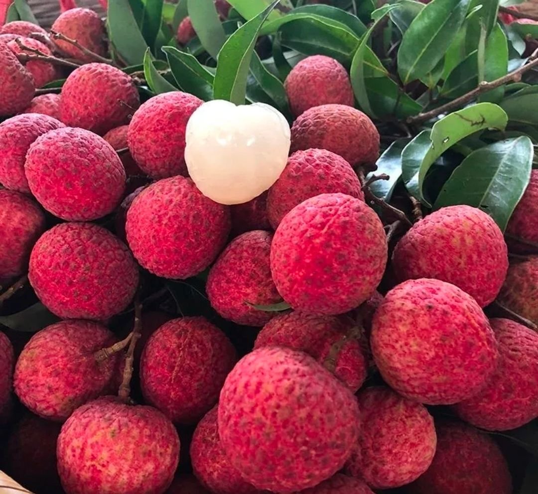 Fresh lychees (organic fruit) -US - Image 2