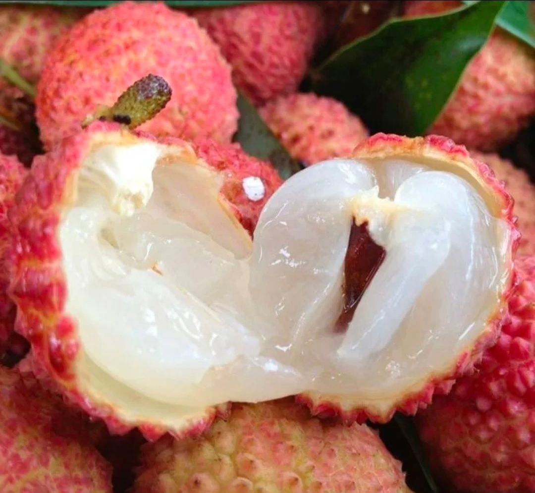 Fresh lychees (organic fruit) -US - Image 5