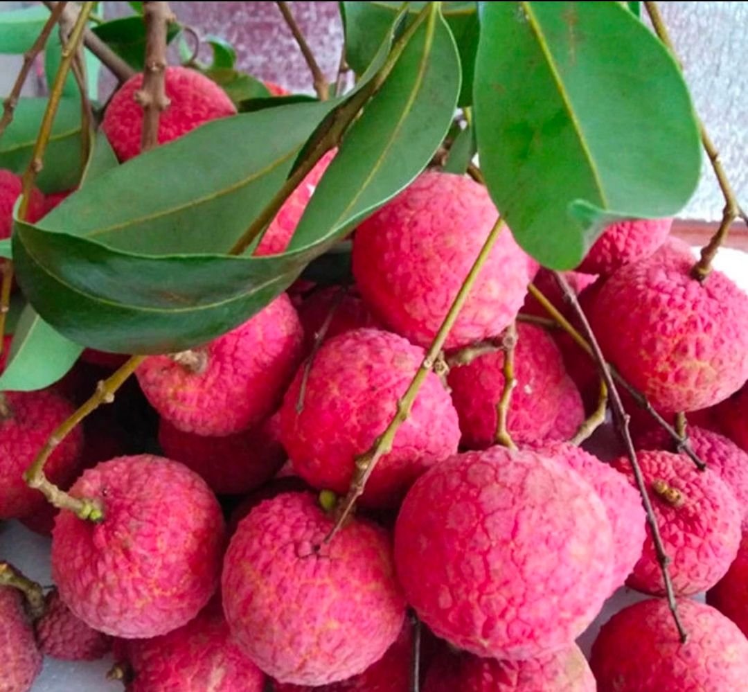 Fresh lychees (organic fruit) -US - Image 6