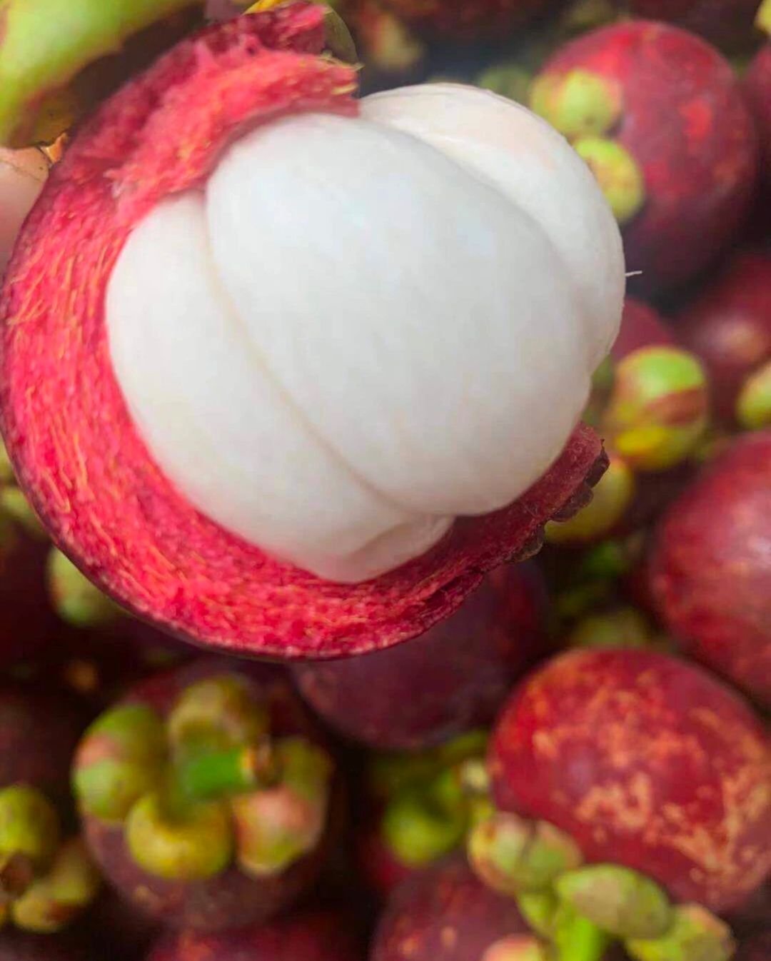 Fresh mangosteen (organic fruit)-US - Image 3