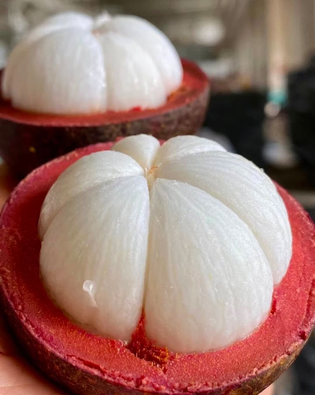 Fresh mangosteen (organic fruit)-US