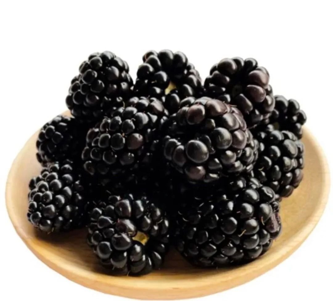Fresh mulberry (organic fruit)-P - Image 6