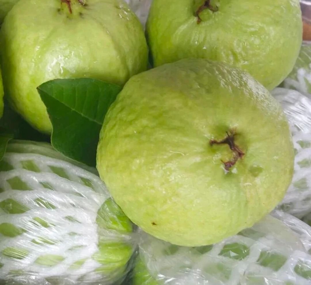 Fresh pink guava (organic fruit)-US - Image 6