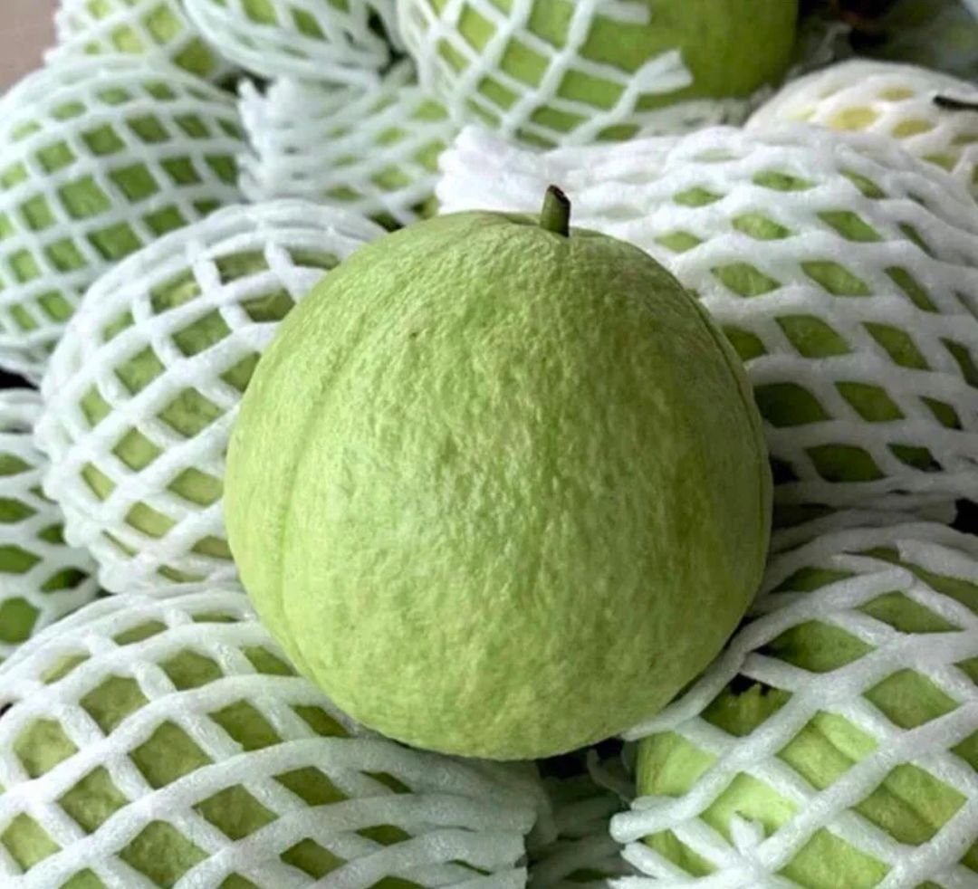 Fresh pink guava (organic fruit)-US - Image 7