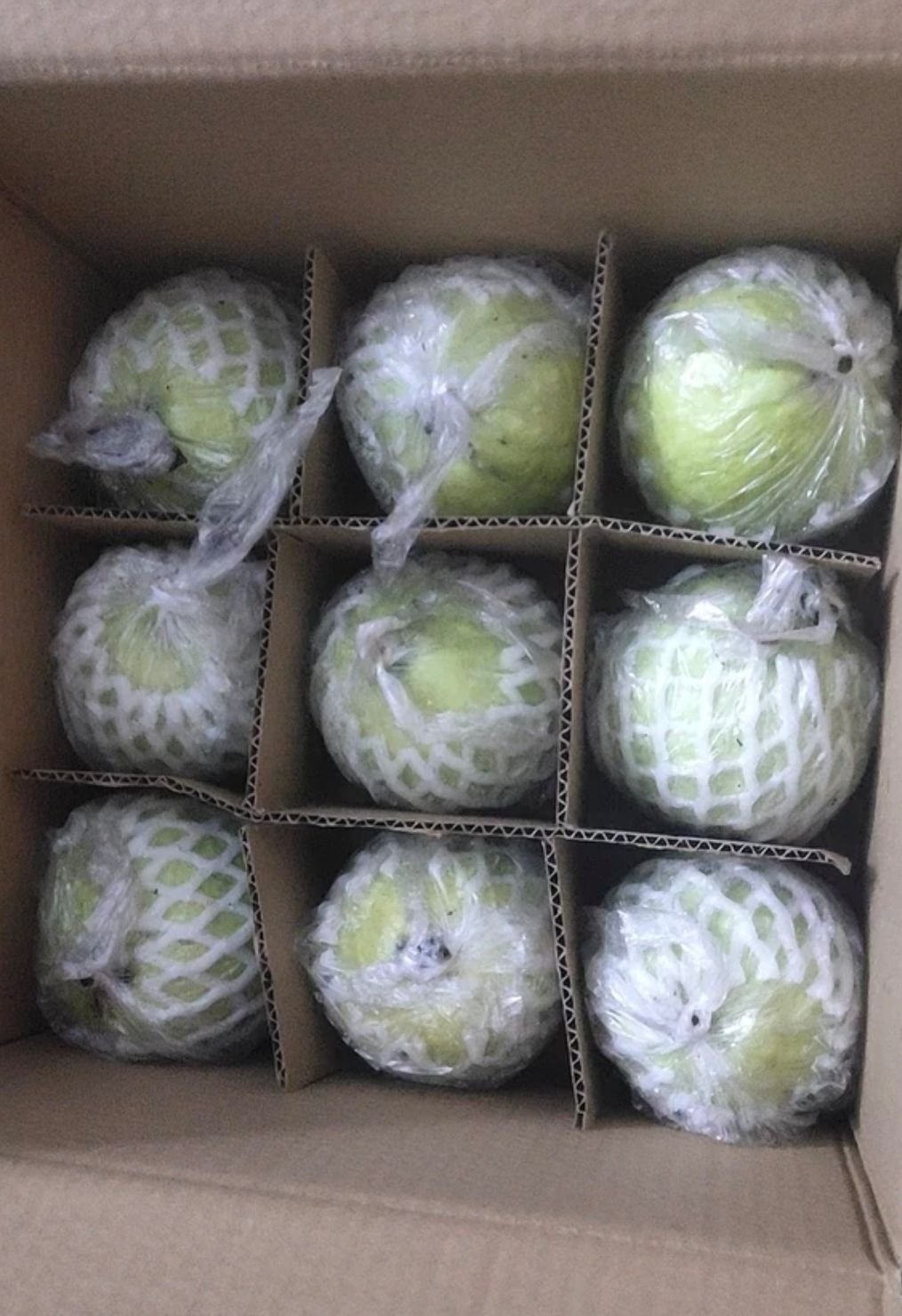 Fresh pink guava (organic fruit)-US - Image 8