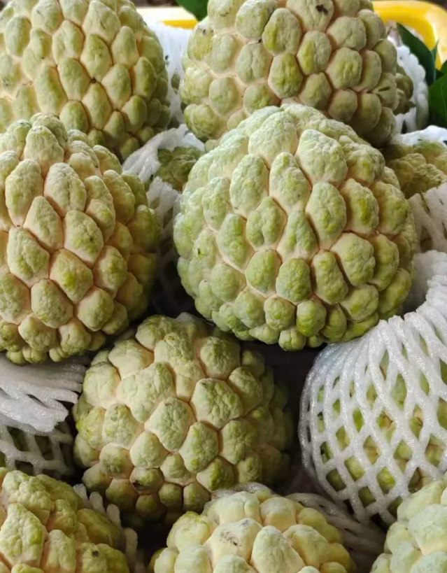 Fresh sugar apple (organic fruits)-US - Image 5