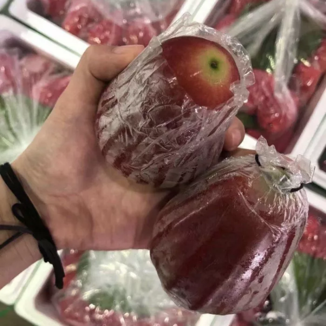 Fresh wax apple (organic fruit)-US - Image 6