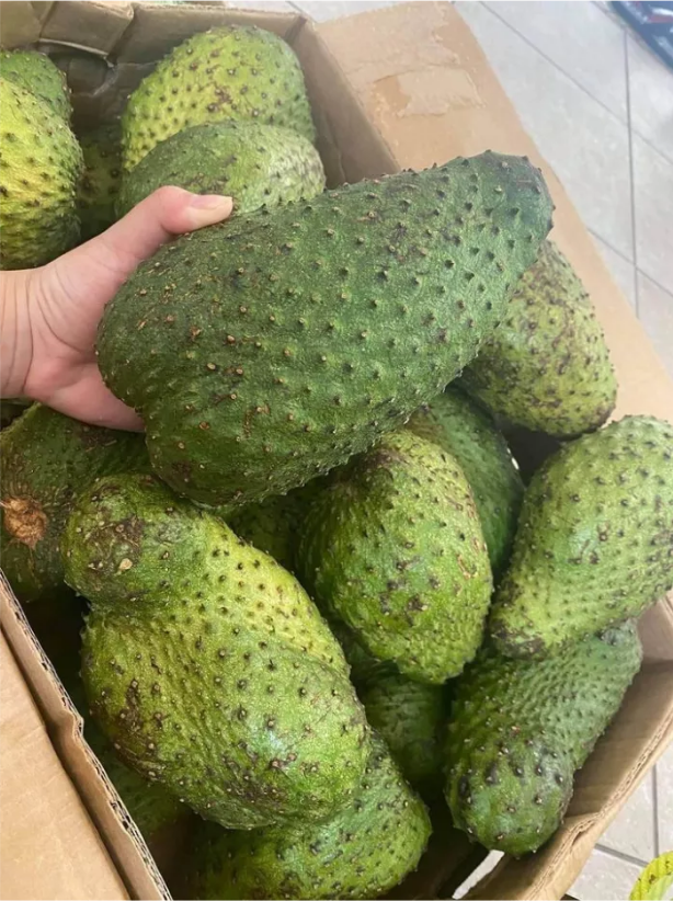 Fresh Soursop (organic fruit)-US - Image 2