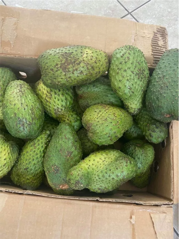 Fresh Soursop (organic fruit)-US - Image 3