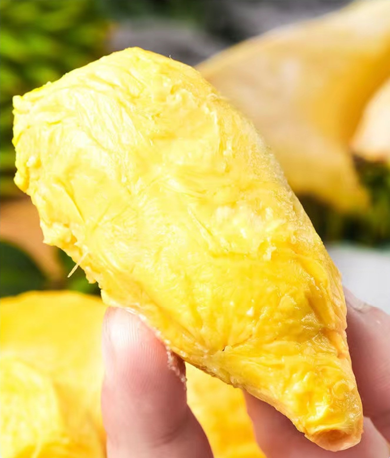 Thai golden pillow durian (organic fruit)-US - Image 5